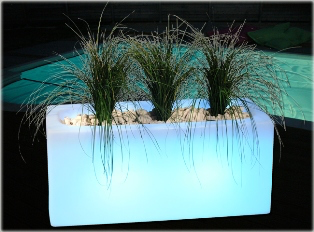 Jardinière lumineuse main image