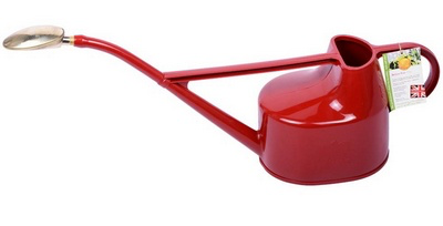 Arrosoir Anglais main image
